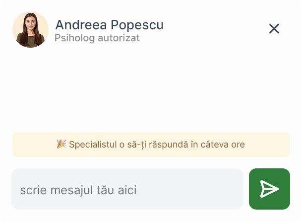 Interfață aplicație